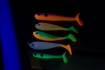 NEW 2013. Уникальные расцветки силиконовых приманок светящиеся в ультрафиолетовом освещении.