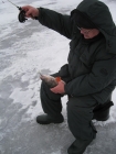 Зимняя рыбалка на окуня с использованием силиконовых приманок
